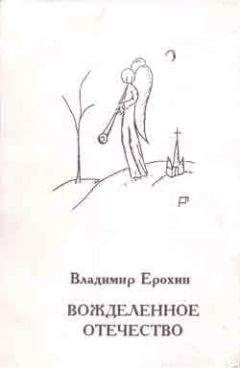 Читайте книги онлайн на Bookidrom.ru! Бесплатные книги в одном клике Владимир Ерохин - Вожделенное отечество