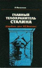 Читайте книги онлайн на Bookidrom.ru! Бесплатные книги в одном клике Александр Колесник - Главный телохранитель Сталина