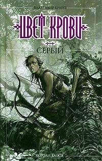 Читайте книги онлайн на Bookidrom.ru! Бесплатные книги в одном клике Владимир Брайт - Цвет крови - серый