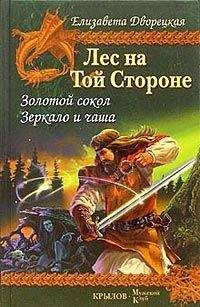 Читайте книги онлайн на Bookidrom.ru! Бесплатные книги в одном клике Елизавета Дворецкая - Зеркало и чаша