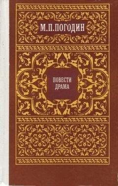 Читайте книги онлайн на Bookidrom.ru! Бесплатные книги в одном клике Мария Виролайнен - Молодой Погодин