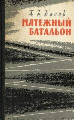 Читайте книги онлайн на Bookidrom.ru! Бесплатные книги в одном клике Кирилл Басин - Мятежный батальон