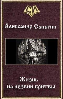 Читайте книги онлайн на Bookidrom.ru! Бесплатные книги в одном клике Александр Сапегин - Жизнь на лезвии бритвы (СИ)