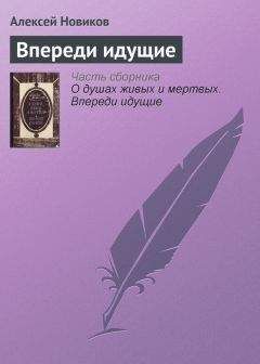 Читайте книги онлайн на Bookidrom.ru! Бесплатные книги в одном клике Алексей Новиков - Впереди идущие