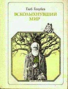 Читайте книги онлайн на Bookidrom.ru! Бесплатные книги в одном клике Глеб Голубев - Всколыхнувший мир