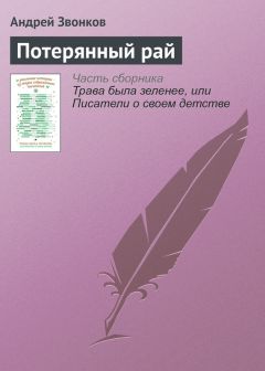 Читайте книги онлайн на Bookidrom.ru! Бесплатные книги в одном клике Андрей Звонков - Потерянный рай