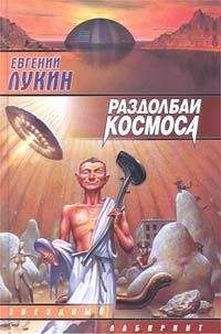 Читайте книги онлайн на Bookidrom.ru! Бесплатные книги в одном клике Евгений Лукин - Раздолбаи космоса, или Гений кувалды