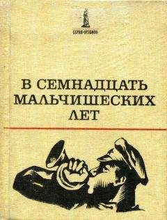 Читайте книги онлайн на Bookidrom.ru! Бесплатные книги в одном клике Владислав Гравишкис - В семнадцать мальчишеских лет
