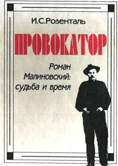 Читайте книги онлайн на Bookidrom.ru! Бесплатные книги в одном клике Исаак Розенталь - Провокатор. Роман Малиновский: судьба и время