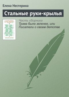 Читайте книги онлайн на Bookidrom.ru! Бесплатные книги в одном клике Елена Нестерина - Стальные руки-крылья