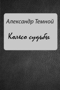 Читайте книги онлайн на Bookidrom.ru! Бесплатные книги в одном клике Александр Темной - Колесо судьбы