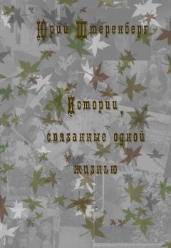 Читайте книги онлайн на Bookidrom.ru! Бесплатные книги в одном клике Юрий Штеренберг - Истории, связанные одной жизнью