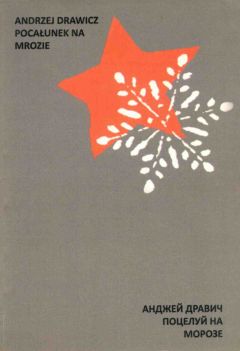 Читайте книги онлайн на Bookidrom.ru! Бесплатные книги в одном клике AНДЖЕЙ ДРАВИЧ - ПОЦЕЛУЙ НА МОРОЗЕ