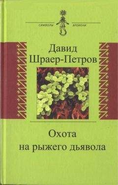 Давид Шраер-Петров - Охота на рыжего дьявола. Роман с микробиологами