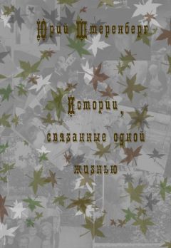 Читайте книги онлайн на Bookidrom.ru! Бесплатные книги в одном клике Юрий Штеренберг - Истории, связанные одной жизнью