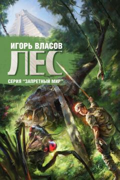 Игорь Власов - Лес