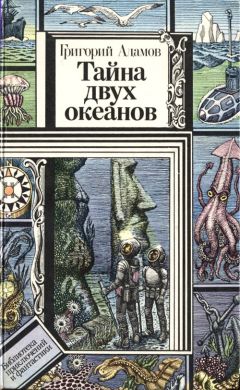 Читайте книги онлайн на Bookidrom.ru! Бесплатные книги в одном клике Григорий Адамов - Тайна двух океанов