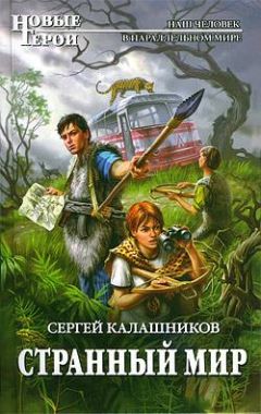 Читайте книги онлайн на Bookidrom.ru! Бесплатные книги в одном клике Сергей Калашников - Странный мир