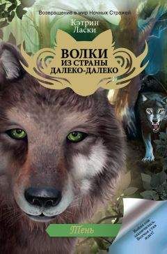 Читайте книги онлайн на Bookidrom.ru! Бесплатные книги в одном клике Кэтрин Ласки - Тень