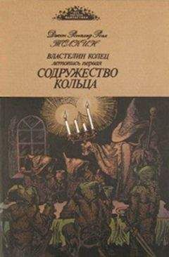 Читайте книги онлайн на Bookidrom.ru! Бесплатные книги в одном клике Джон Толкиен - Содружество кольца