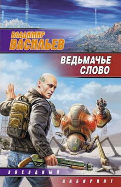 Читайте книги онлайн на Bookidrom.ru! Бесплатные книги в одном клике Владимир Васильев - Матадор