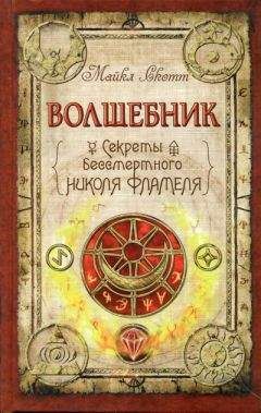 Читайте книги онлайн на Bookidrom.ru! Бесплатные книги в одном клике Майкл Скотт - Волшебник