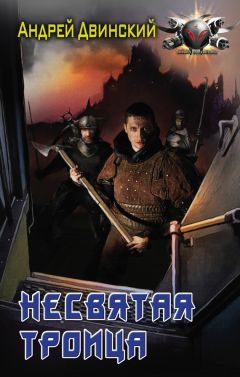 Читайте книги онлайн на Bookidrom.ru! Бесплатные книги в одном клике Андрей Двинский - Несвятая троица