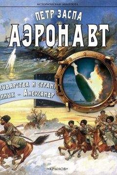 Читайте книги онлайн на Bookidrom.ru! Бесплатные книги в одном клике Петр Заспа - Аэронавт