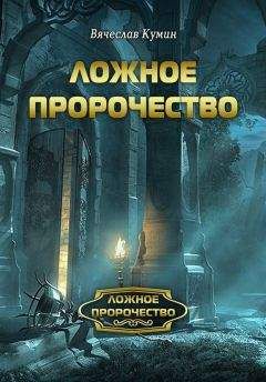 Читайте книги онлайн на Bookidrom.ru! Бесплатные книги в одном клике Вячеслав Кумин - Ложное пророчество