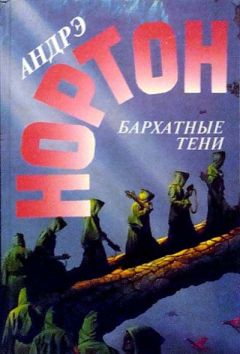 Читайте книги онлайн на Bookidrom.ru! Бесплатные книги в одном клике Андрэ Нортон - Бархатные тени