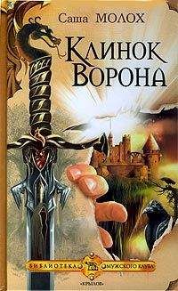 Читайте книги онлайн на Bookidrom.ru! Бесплатные книги в одном клике Саша Молох - Клинок Ворона