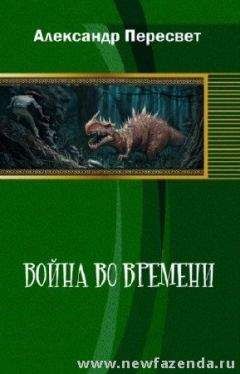 Читайте книги онлайн на Bookidrom.ru! Бесплатные книги в одном клике Александр Пересвет - Война во времени