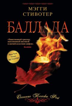 Читайте книги онлайн на Bookidrom.ru! Бесплатные книги в одном клике Мэгги Стивотер - Баллада: Осенние пляски фей