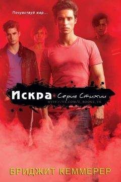 Читайте книги онлайн на Bookidrom.ru! Бесплатные книги в одном клике Бриджид Кеммерер - Искра (ЛП)