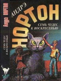 Читайте книги онлайн на Bookidrom.ru! Бесплатные книги в одном клике Андрэ Нортон - Семь чудес к воскресенью: Мир звёздных ко’отов. Семь чудес к воскресенью. Волшебный дом