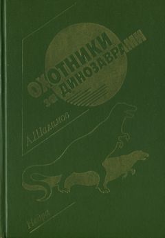 Читайте книги онлайн на Bookidrom.ru! Бесплатные книги в одном клике Александр Шалимов - Охотники за динозаврами