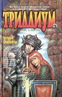 Читайте книги онлайн на Bookidrom.ru! Бесплатные книги в одном клике Андрэ Нортон - Чёрный Триллиум