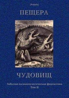 Читайте книги онлайн на Bookidrom.ru! Бесплатные книги в одном клике Чарльз Робертс - Пещера чудовищ