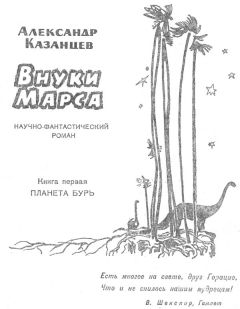 Читайте книги онлайн на Bookidrom.ru! Бесплатные книги в одном клике Александр Казанцев - Планета бурь