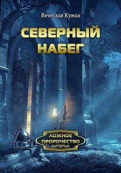 Читайте книги онлайн на Bookidrom.ru! Бесплатные книги в одном клике Вячеслав Кумин - Северный набег
