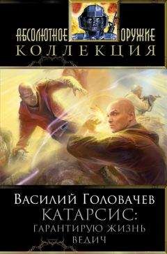 Читайте книги онлайн на Bookidrom.ru! Бесплатные книги в одном клике Василий Головачев - Гарантирую жизнь. Ведич