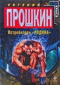 Читайте книги онлайн на Bookidrom.ru! Бесплатные книги в одном клике Евгений Прошкин - Истребитель Родина