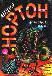 Читайте книги онлайн на Bookidrom.ru! Бесплатные книги в одном клике Андрэ Нортон - Магия Драконов