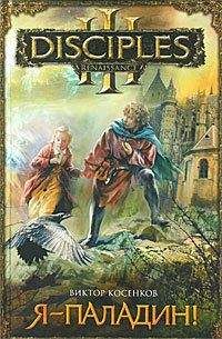 Читайте книги онлайн на Bookidrom.ru! Бесплатные книги в одном клике Виктор Косенков - Я – паладин!
