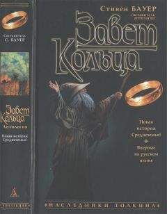 Читайте книги онлайн на Bookidrom.ru! Бесплатные книги в одном клике Стивен Бауер - Завет Кольца