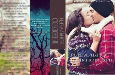 Читайте книги онлайн на Bookidrom.ru! Бесплатные книги в одном клике Алина Максимова - Идеальное столкновение (СИ)