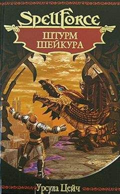 Читайте книги онлайн на Bookidrom.ru! Бесплатные книги в одном клике Урсула Цейч - Штурм Шейкура