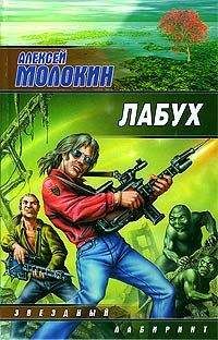 Читайте книги онлайн на Bookidrom.ru! Бесплатные книги в одном клике Алексей Молокин - Лабух