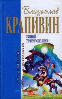 Читайте книги онлайн на Bookidrom.ru! Бесплатные книги в одном клике Владислав Крапивин - Синий треугольник