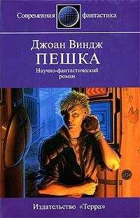 Читайте книги онлайн на Bookidrom.ru! Бесплатные книги в одном клике Джоан Виндж - Пешка